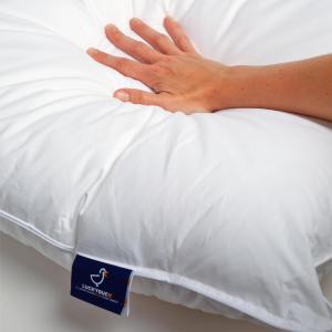 Oreiller Monoduo 60 x 60 cm 