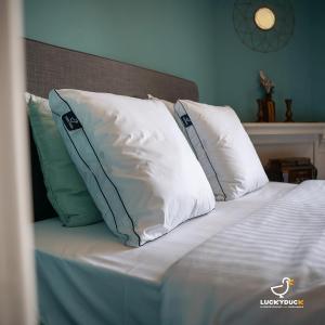 Oreiller Ajustable - 60 x 60 cm