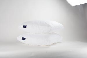 Oreiller Monoduo 60 x 60 cm 